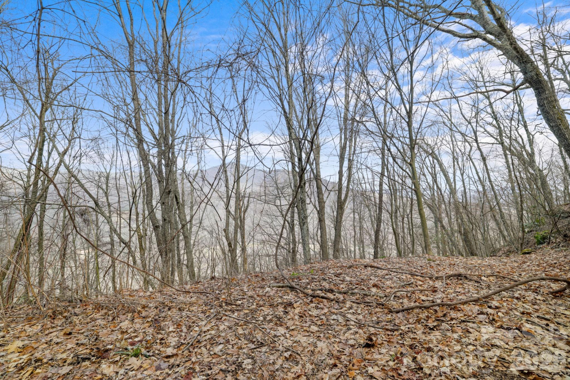 00 Forest Drive #14 - Photo 2