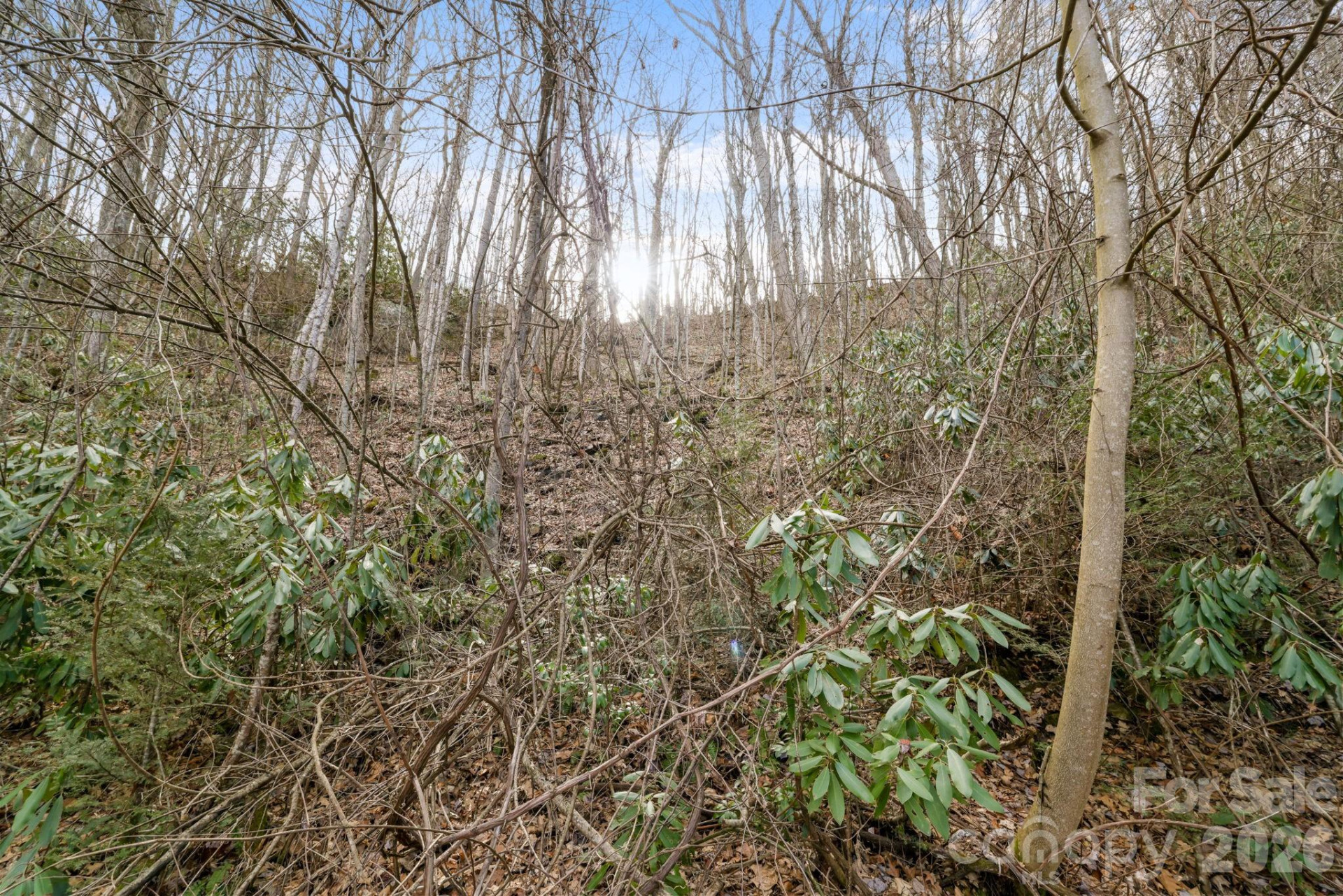 00 Forest Drive #14 - Photo 3