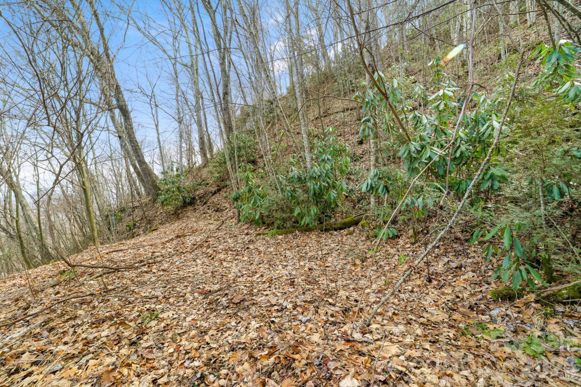 00 Forest Drive #14 - Photo 4