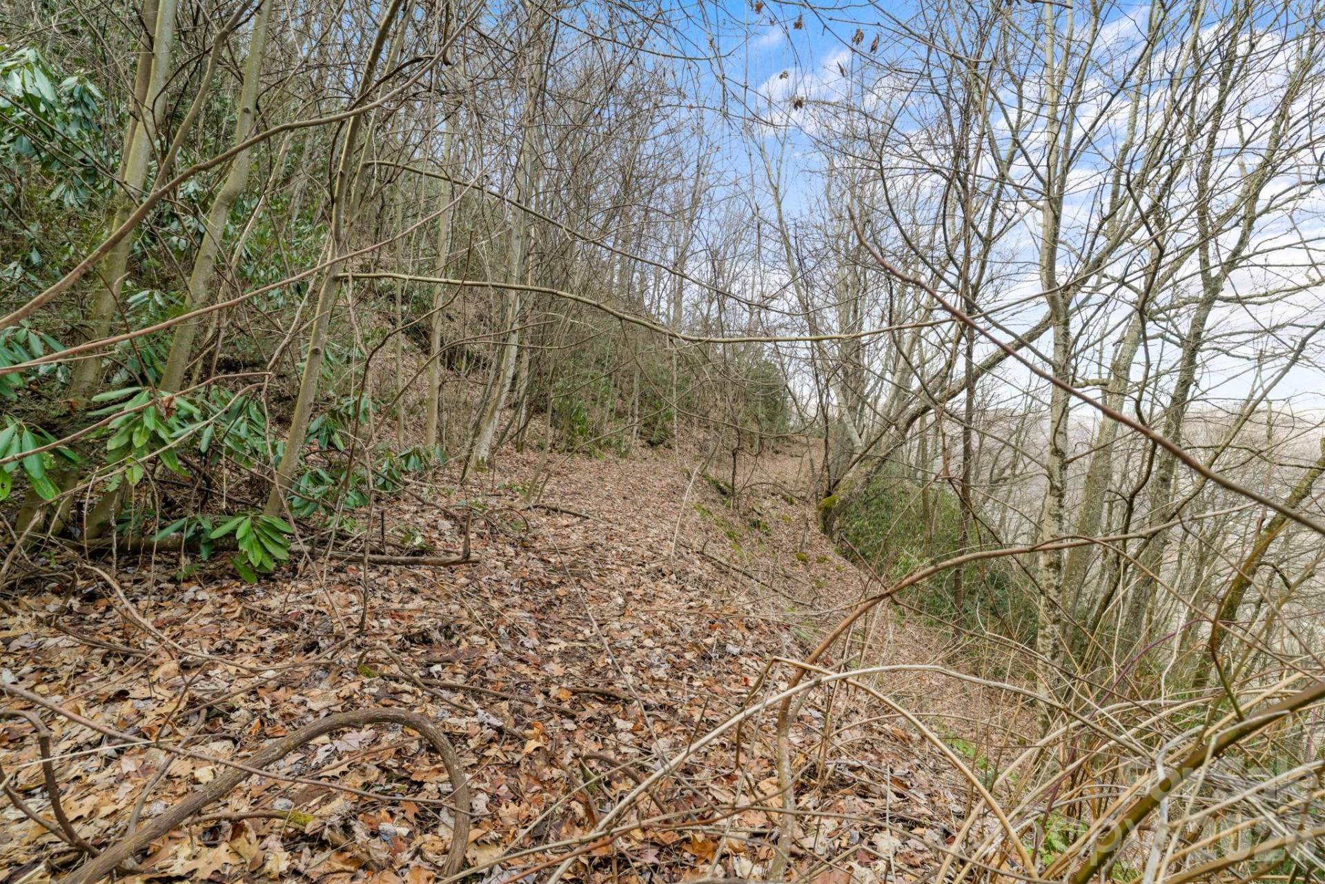 00 Forest Drive #14 - Photo 5