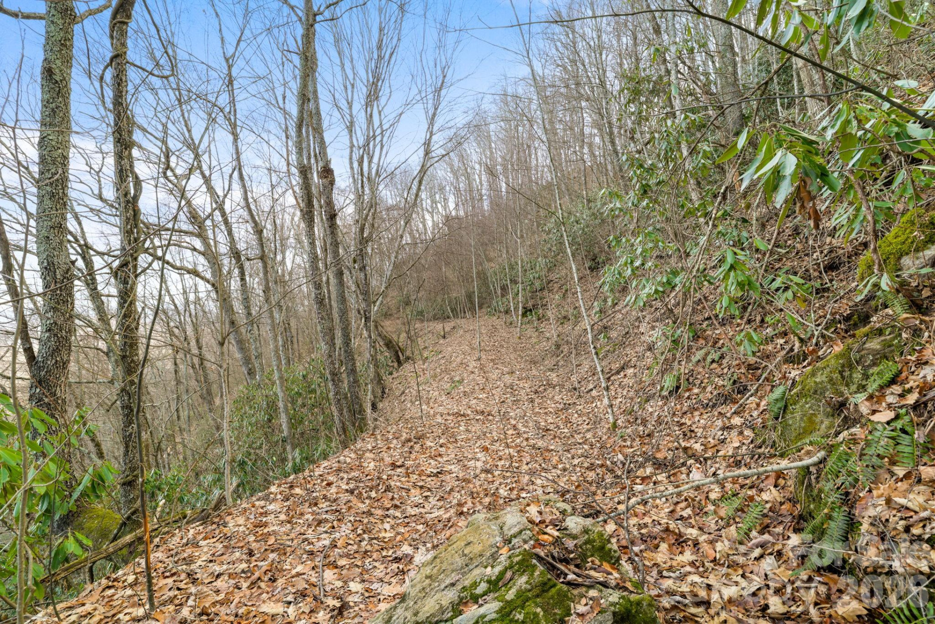 00 Forest Drive #14 - Photo 6