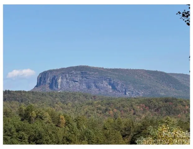 Lot #4 Pisgah Preserve Drive
