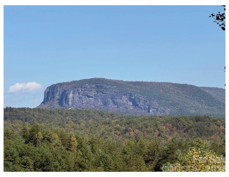 Lot #4 Pisgah Preserve Drive