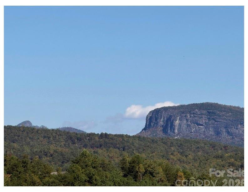 Lot #4 Pisgah Preserve Drive - Photo 2