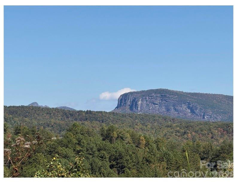 Lot #4 Pisgah Preserve Drive - Photo 3