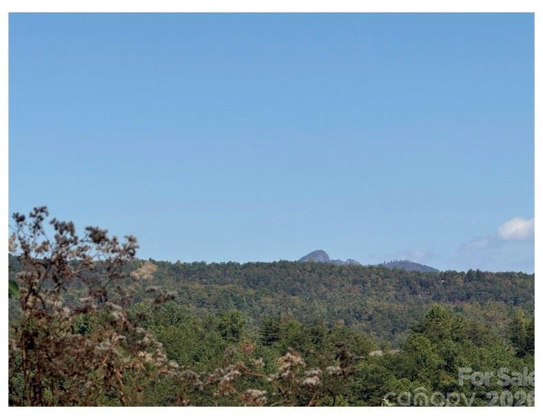 Lot #4 Pisgah Preserve Drive - Photo 4