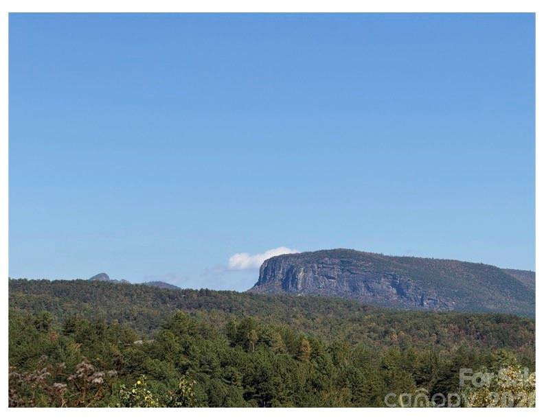 Lot #4 Pisgah Preserve Drive - Photo 5