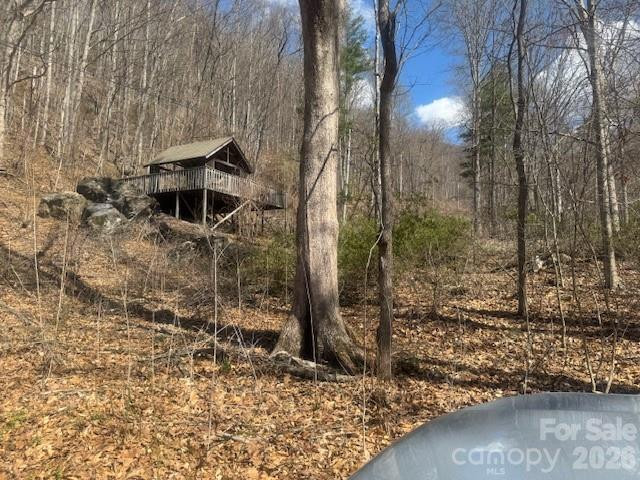 446 Rocky Fork Road - Photo 4