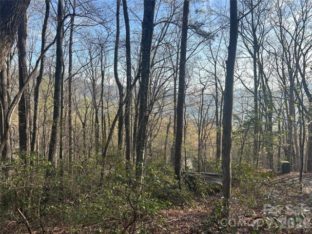 Lot 301 Cardinal Road, Lake Lure, NC, 28746