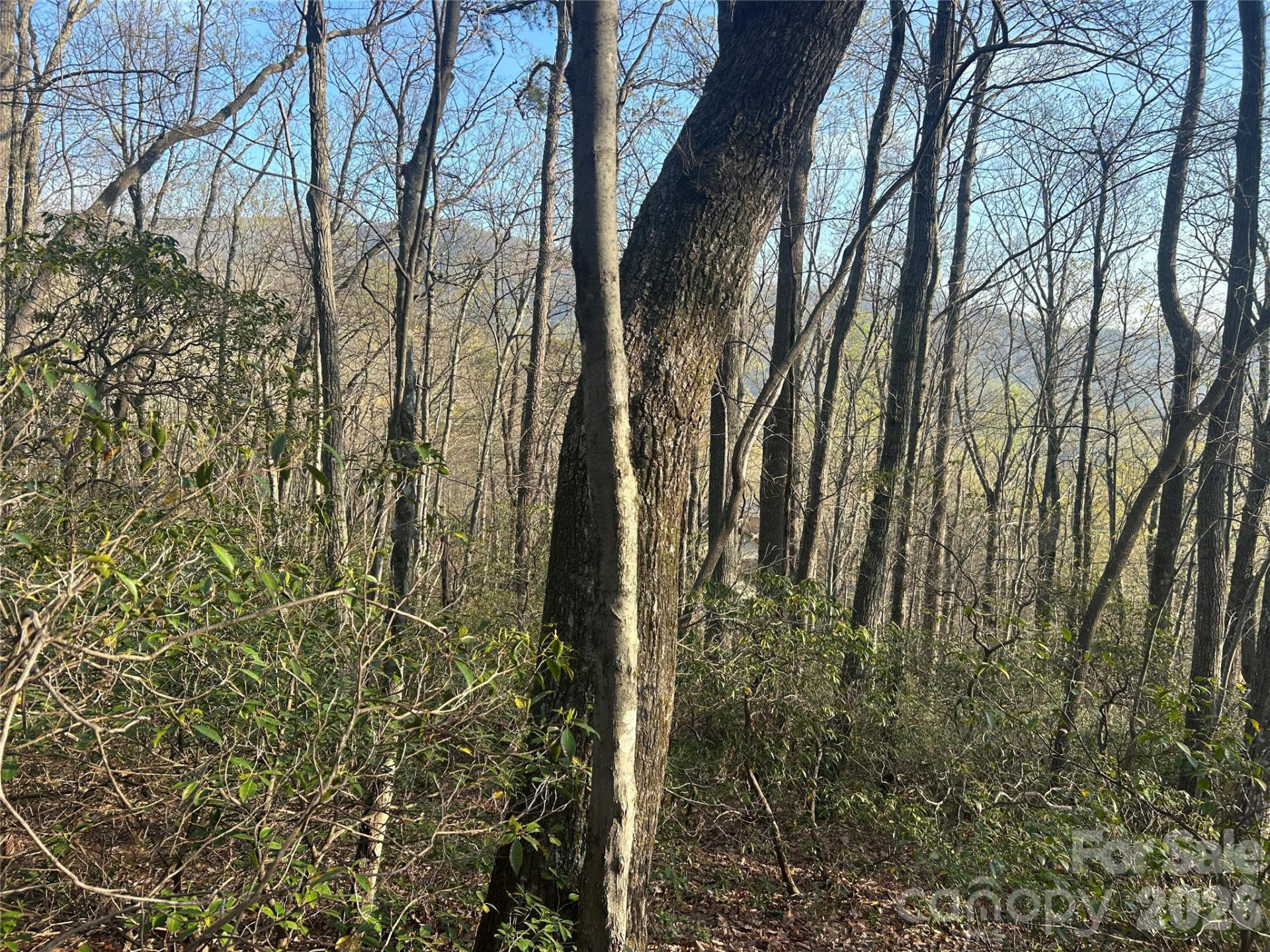 Lot 301 Cardinal Road #301 - Photo 2