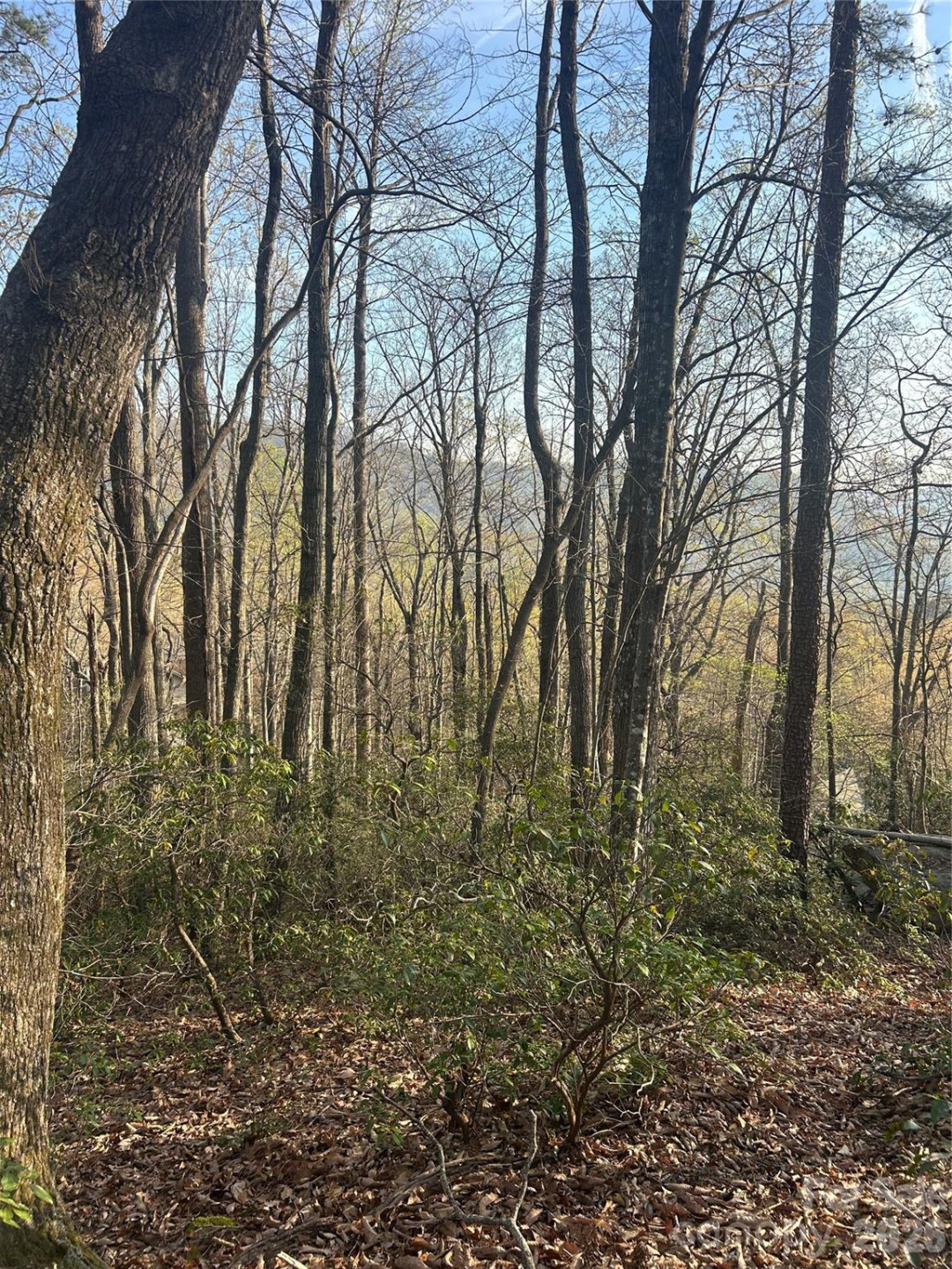 Lot 301 Cardinal Road #301 - Photo 3