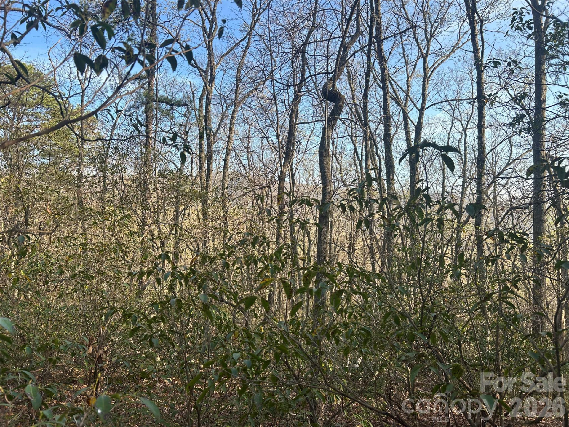 Lot 301 Cardinal Road #301 - Photo 4