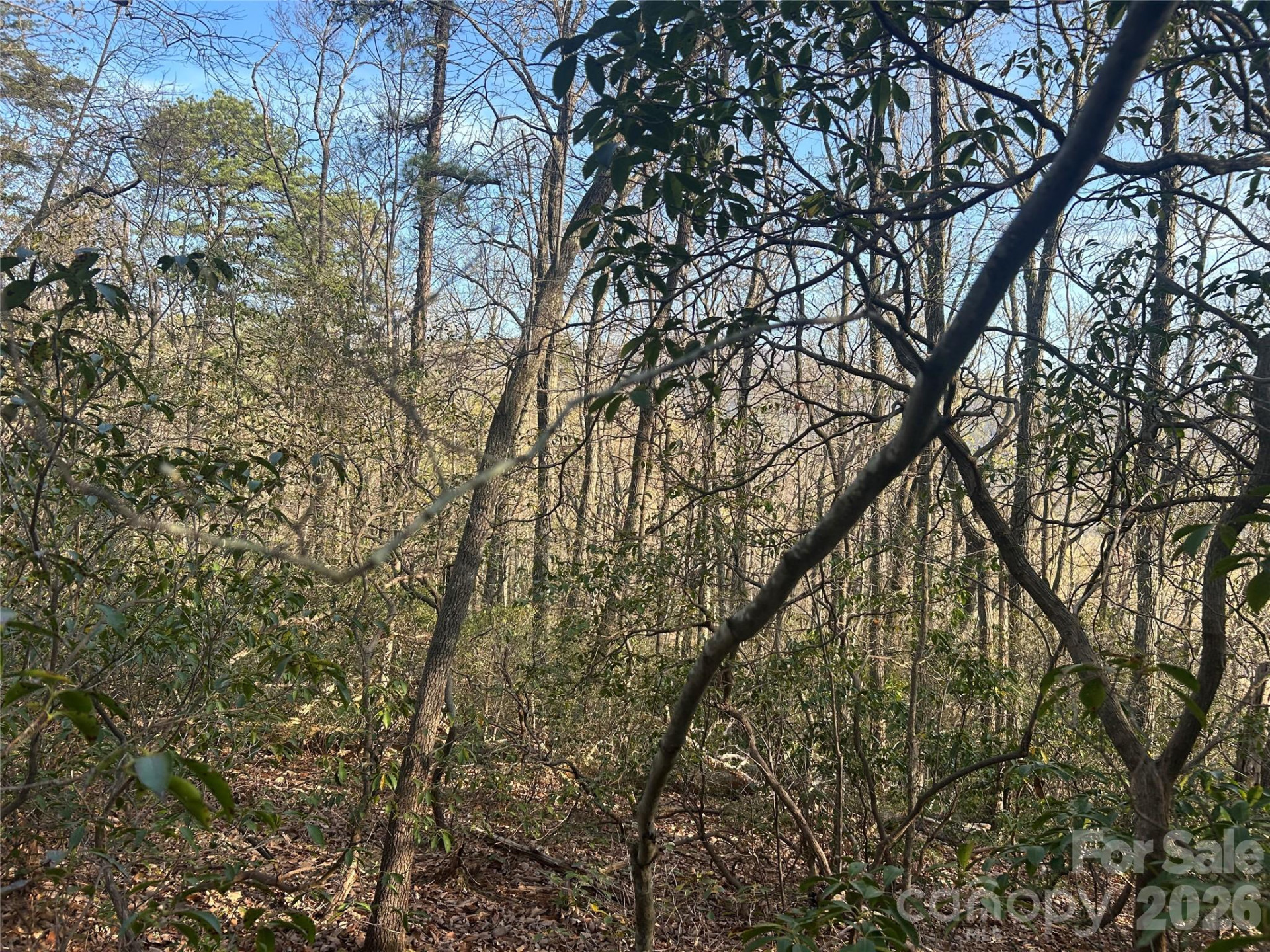 Lot 301 Cardinal Road #301 - Photo 5