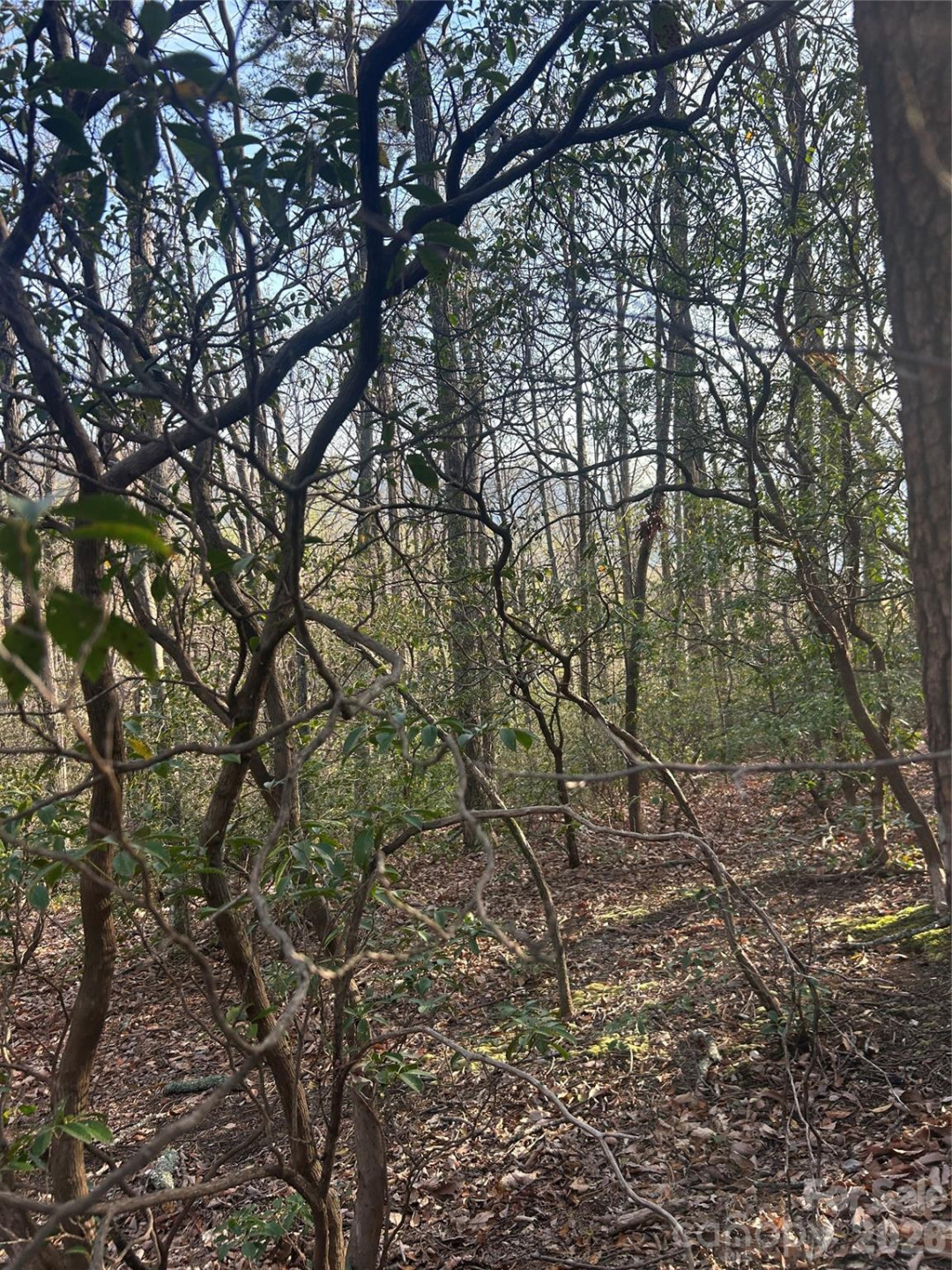 Lot 301 Cardinal Road #301 - Photo 6