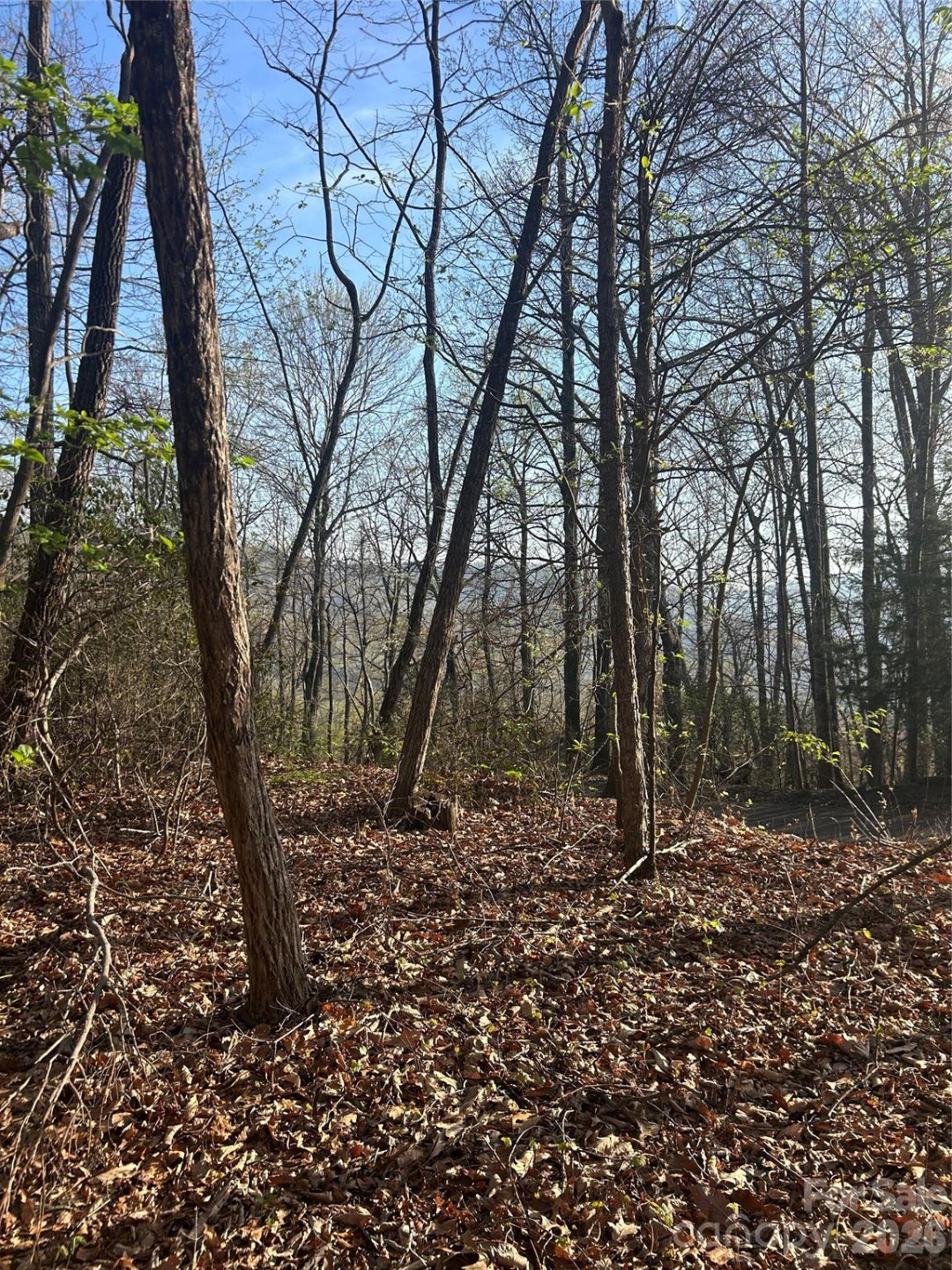 Lot 301 Cardinal Road #301 - Photo 9