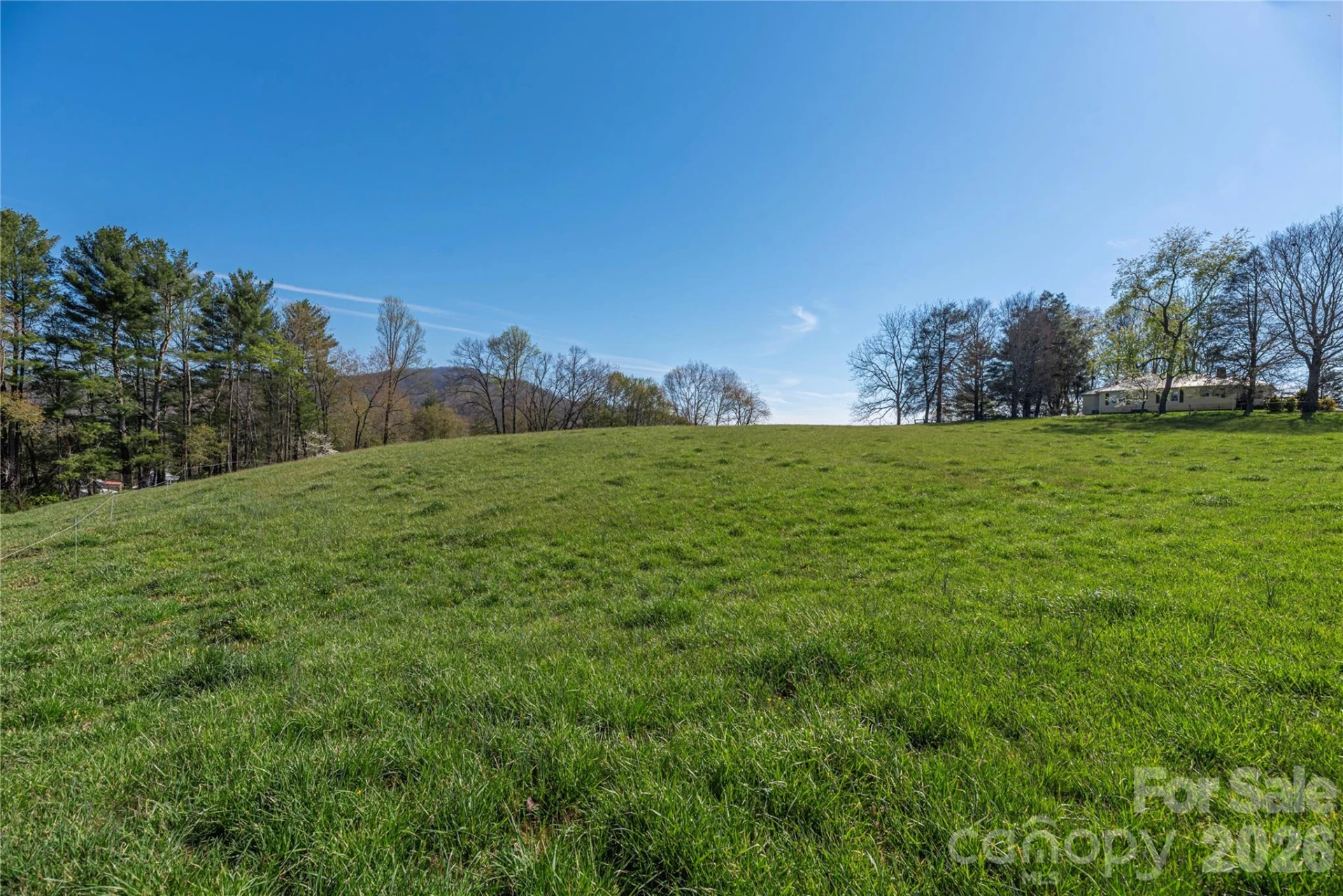 284 Woodland Church Road - Photo 11
