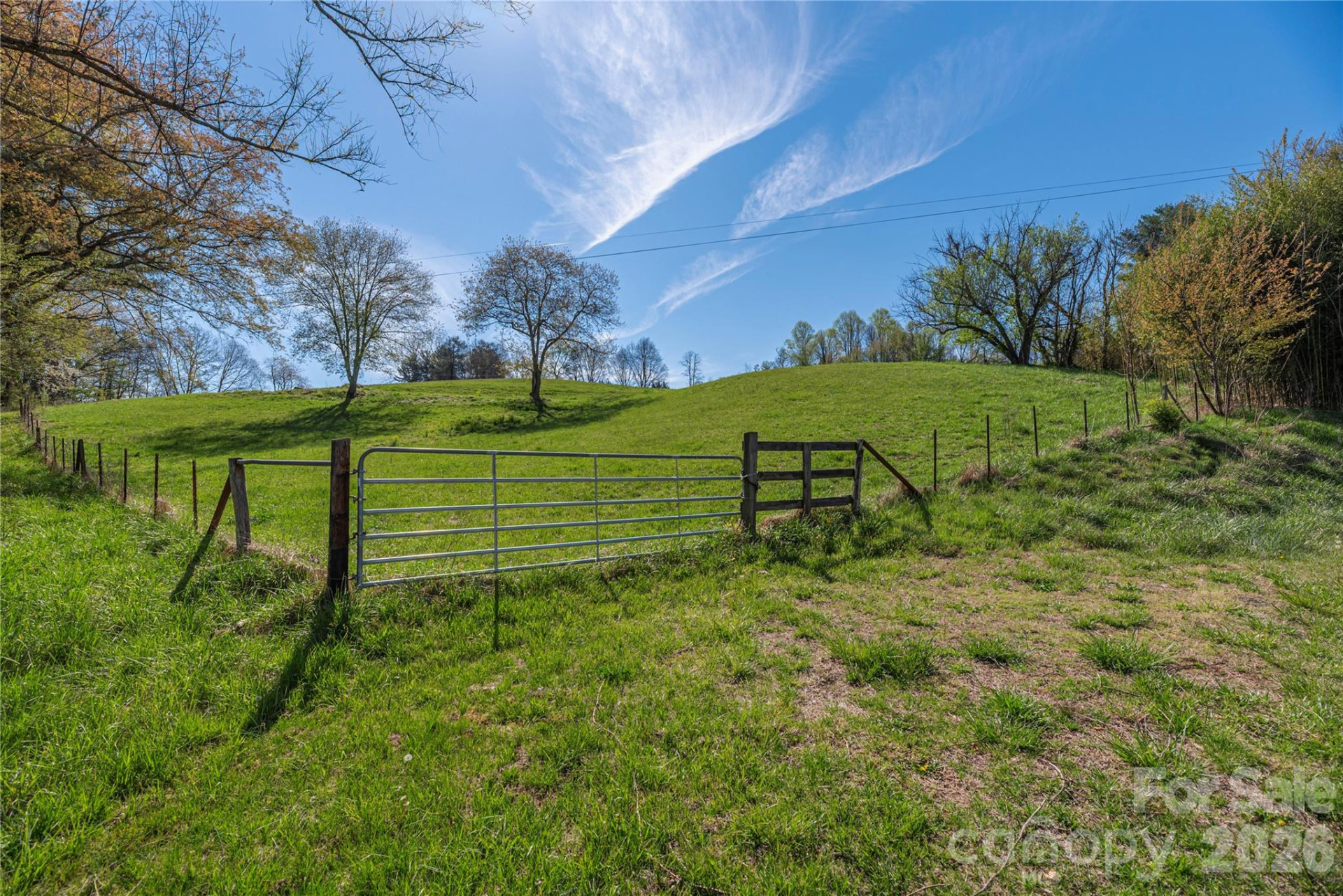 284 Woodland Church Road - Photo 3