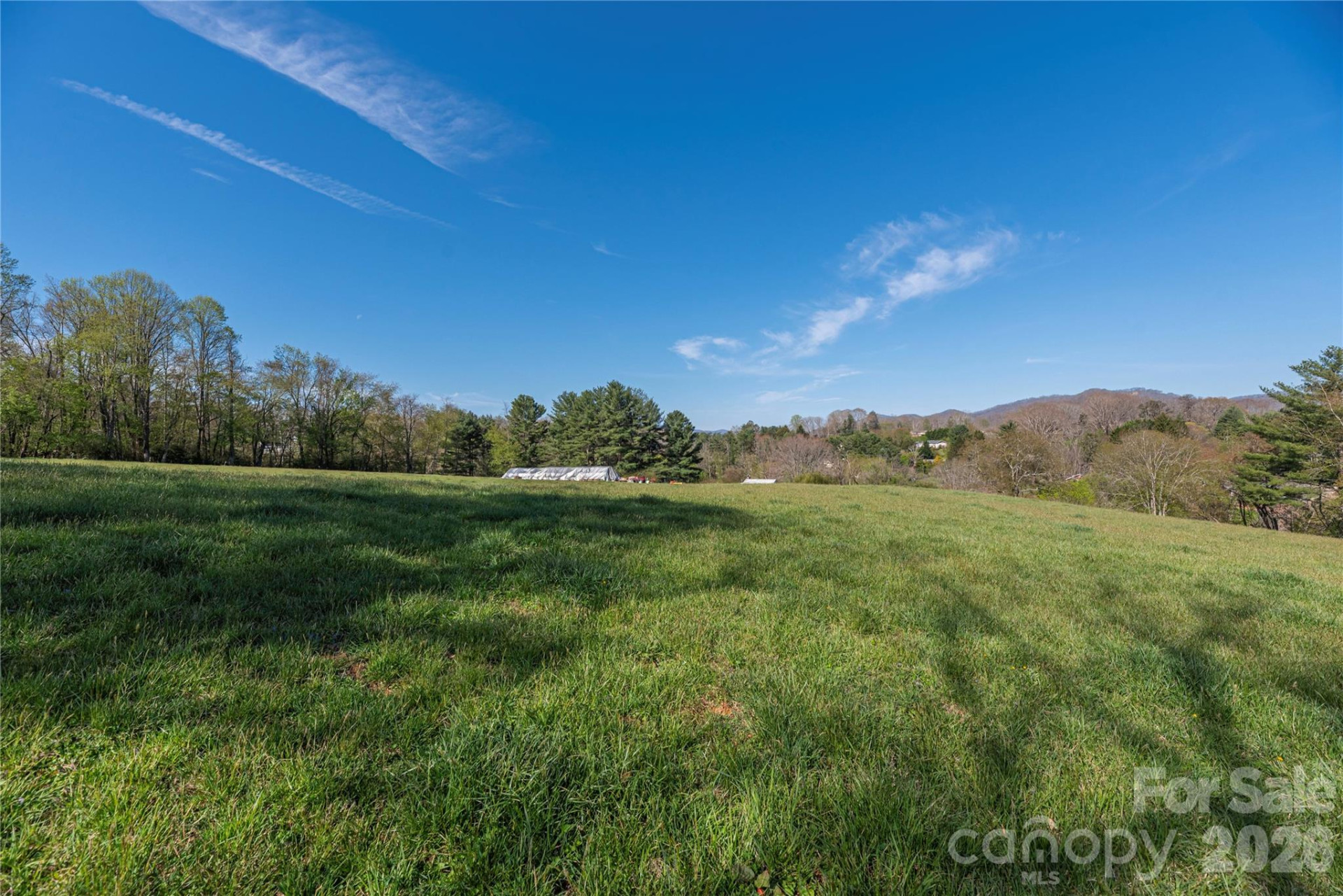 284 Woodland Church Road - Photo 4