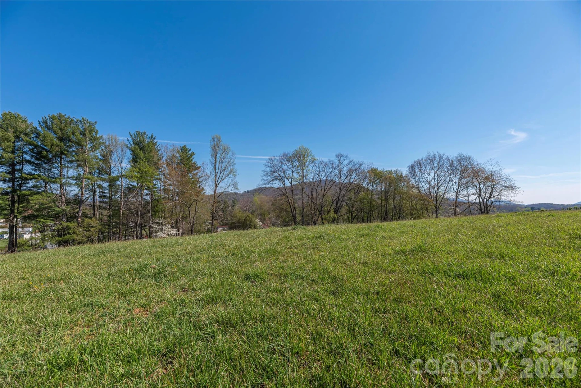 284 Woodland Church Road - Photo 8