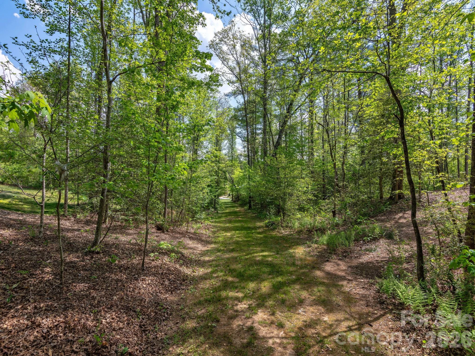 41 Hawberry Court - Photo 36