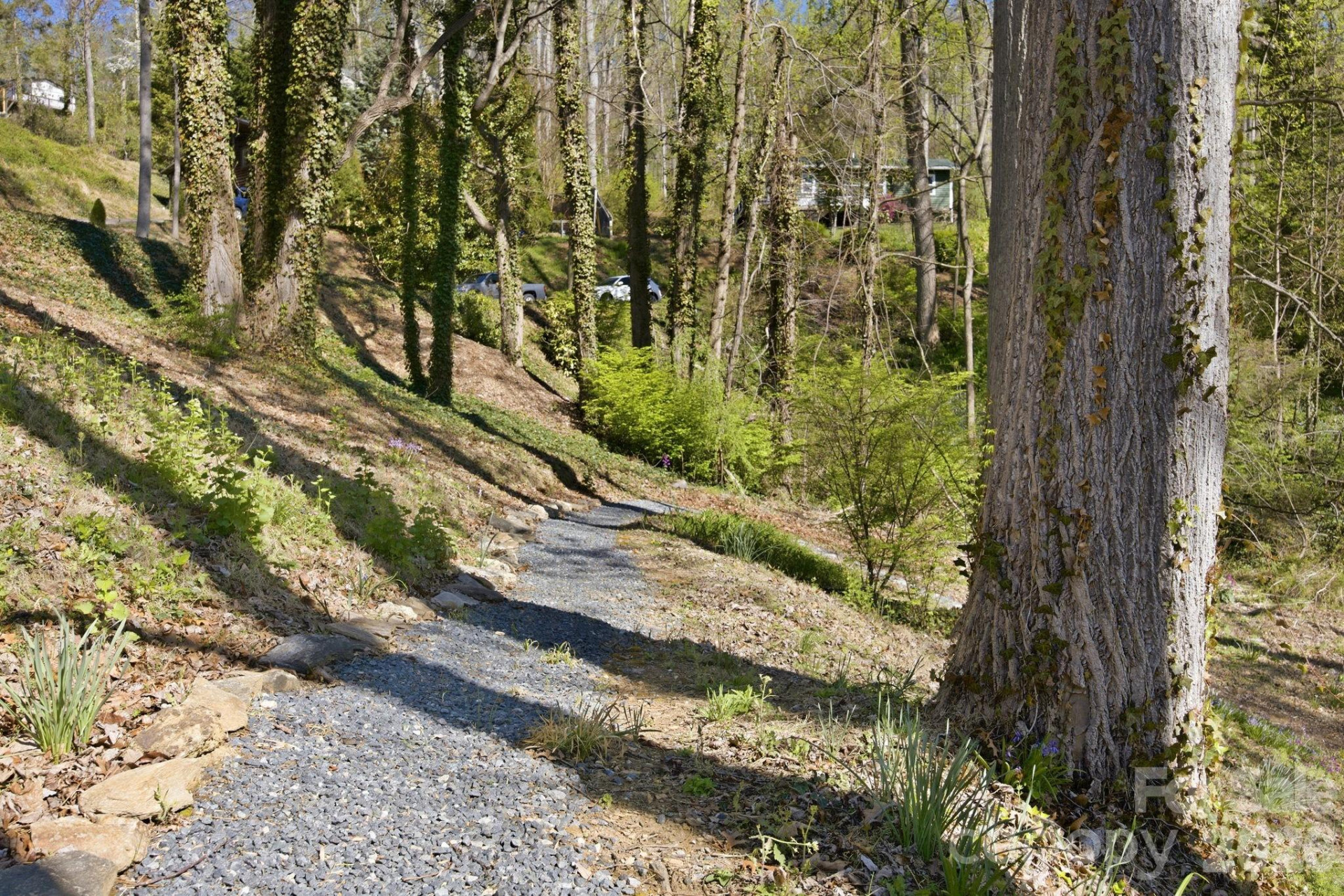 50 Hemlock Street - Photo 30