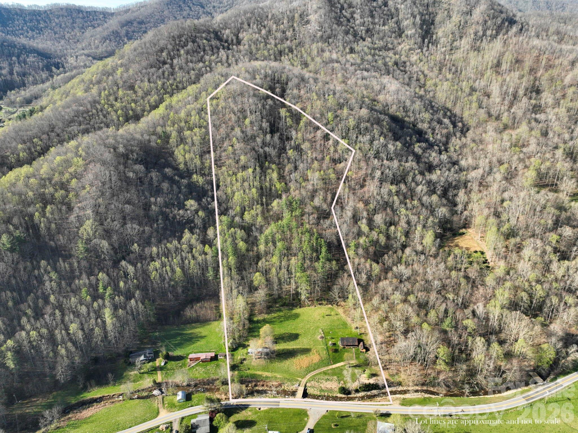 3041 Bald Mountain Road - Photo 3