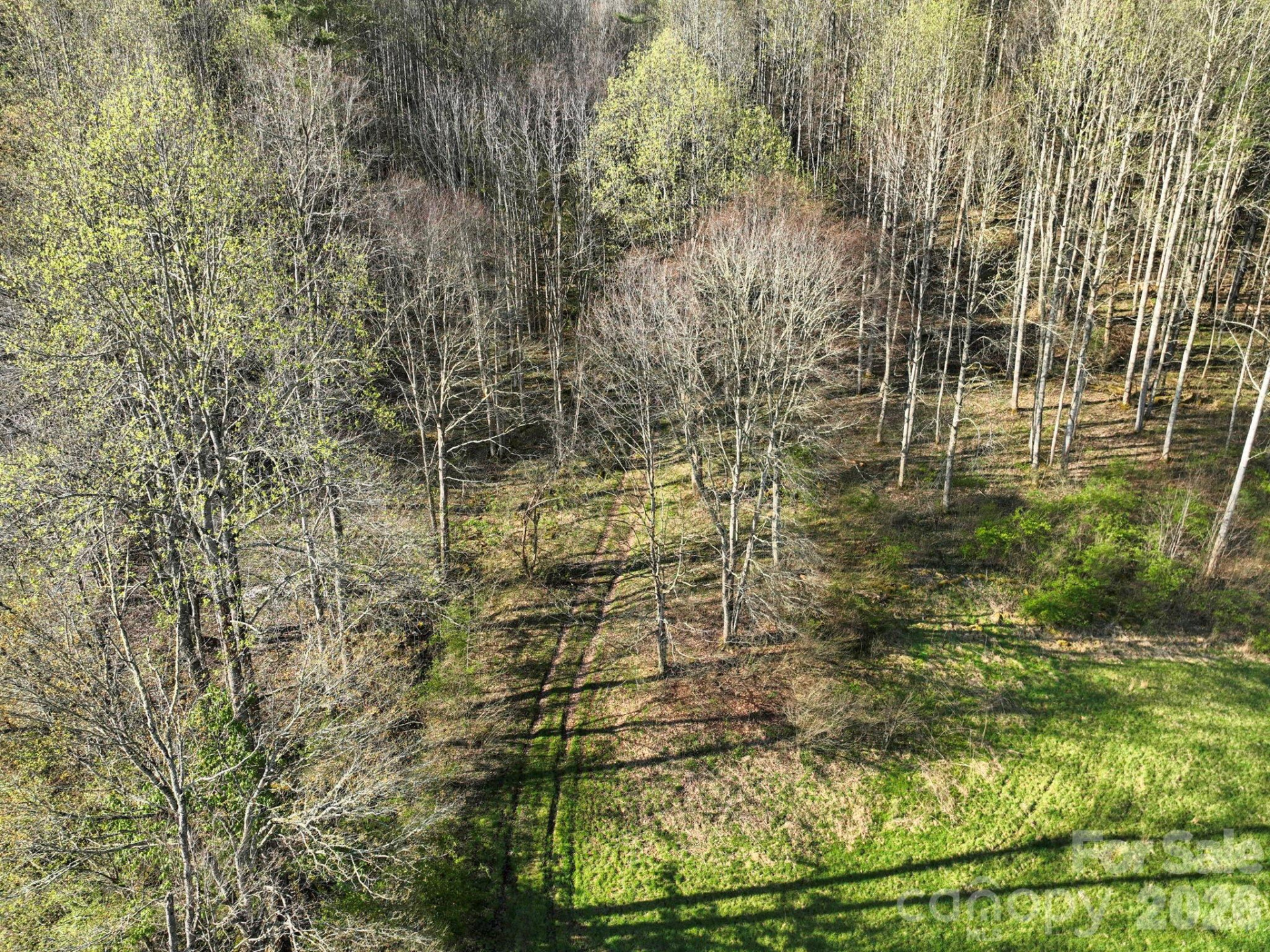 3041 Bald Mountain Road - Photo 27