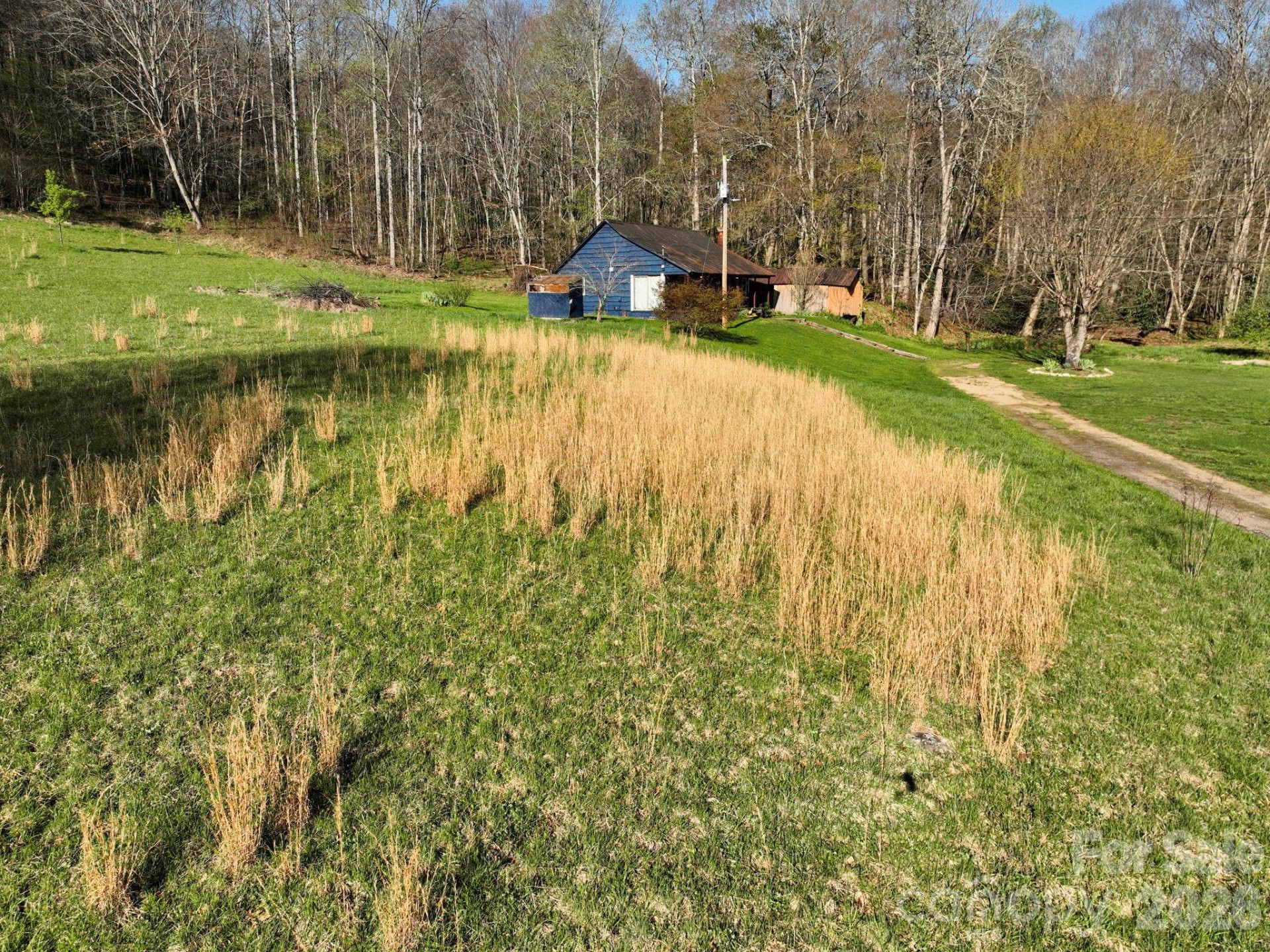 3041 Bald Mountain Road - Photo 28