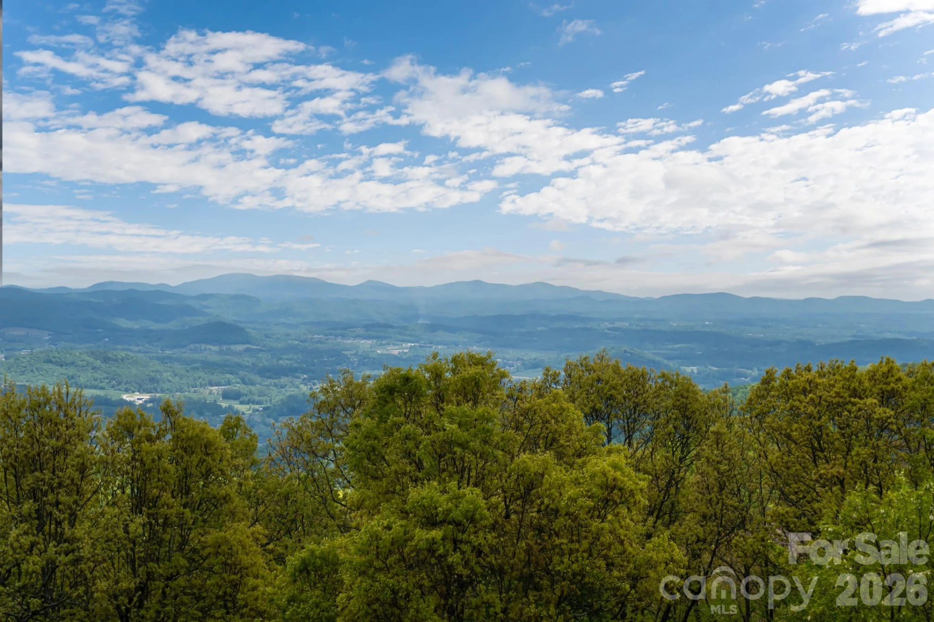 332 Summerset Drive #85 - Photo 5
