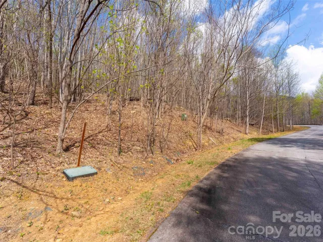 Lot 196 Cherry Hill, Mill Spring, NC, 28756
