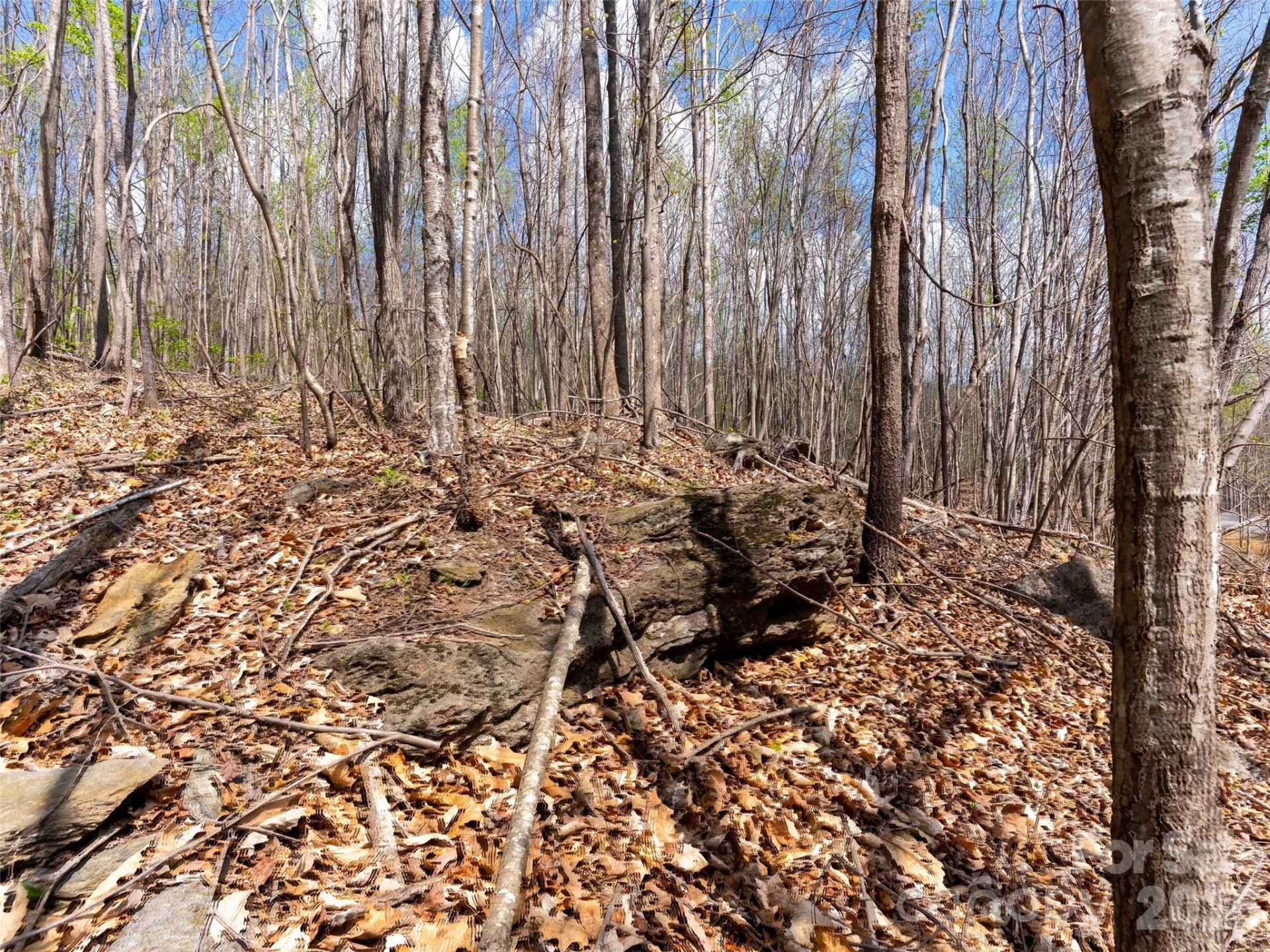 Lot 196 Cherry Hill #196 - Photo 2