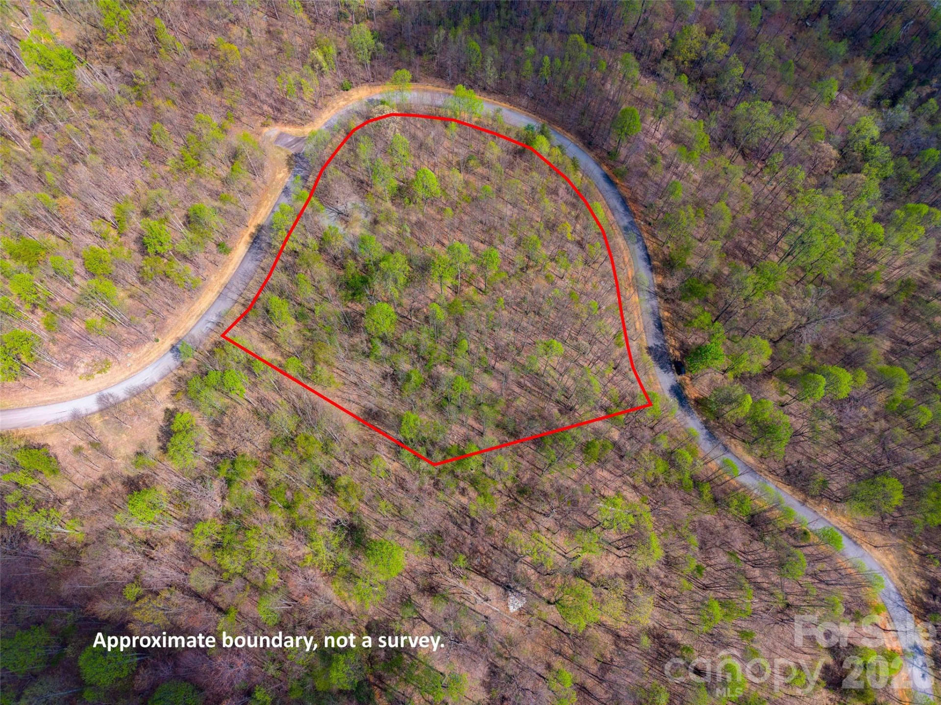 Lot 196 Cherry Hill #196 - Photo 12