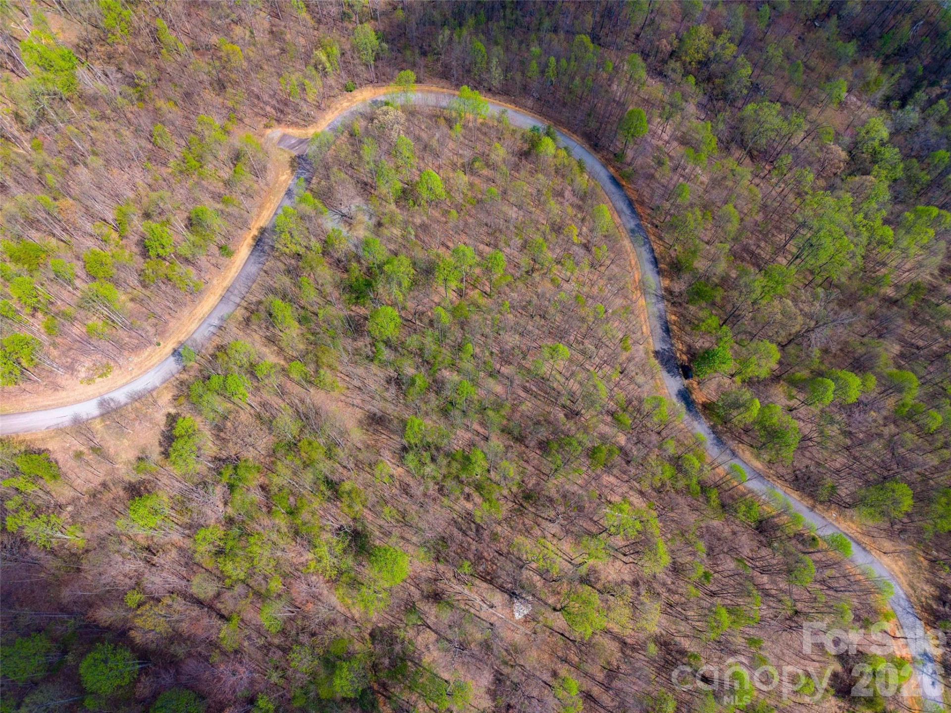 Lot 196 Cherry Hill #196 - Photo 13