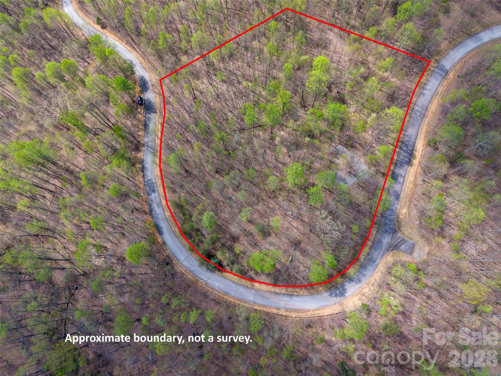 Lot 196 Cherry Hill #196 - Photo 16