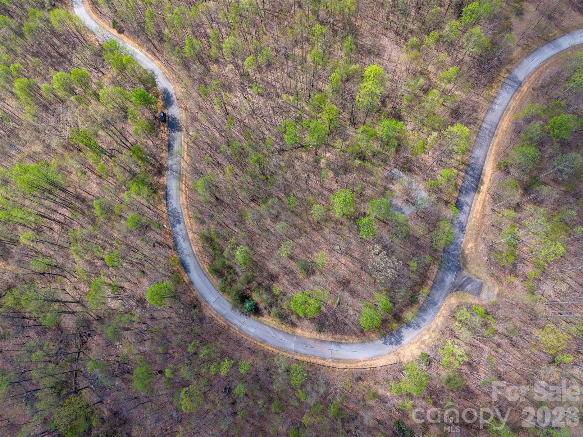 Lot 196 Cherry Hill #196 - Photo 17