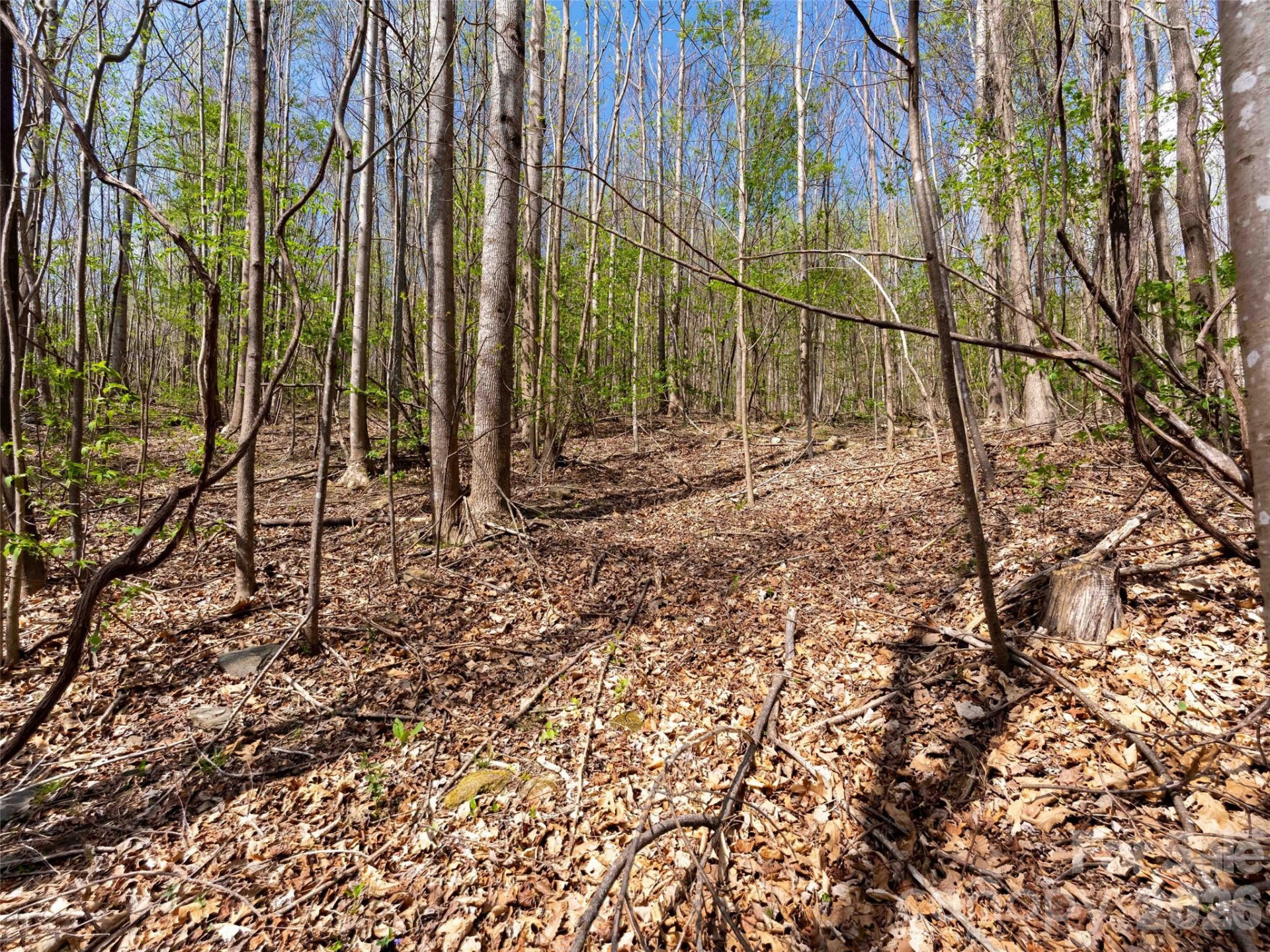 Lot 196 Cherry Hill #196 - Photo 3