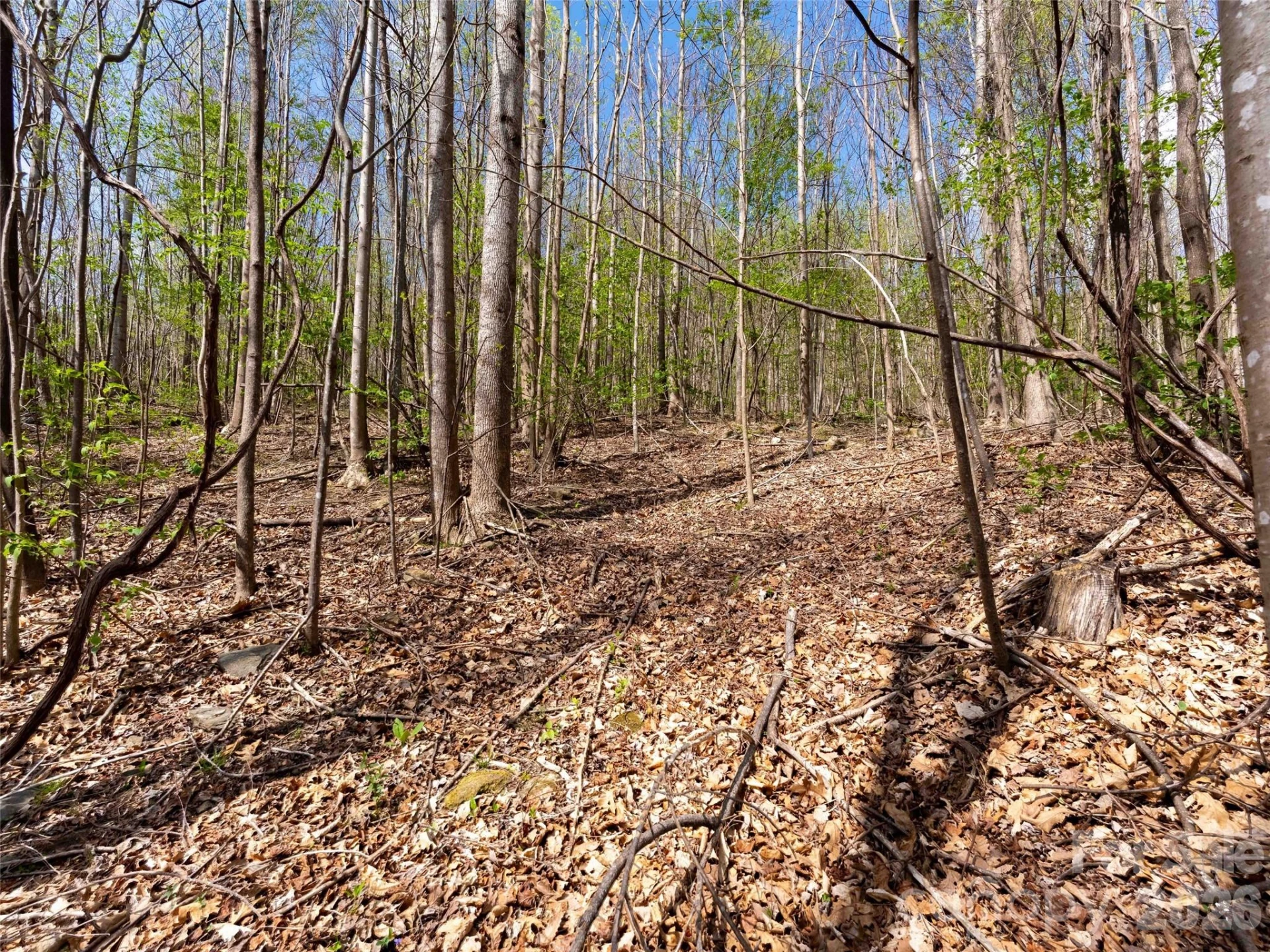 Lot 196 Cherry Hill #196 - Photo 3