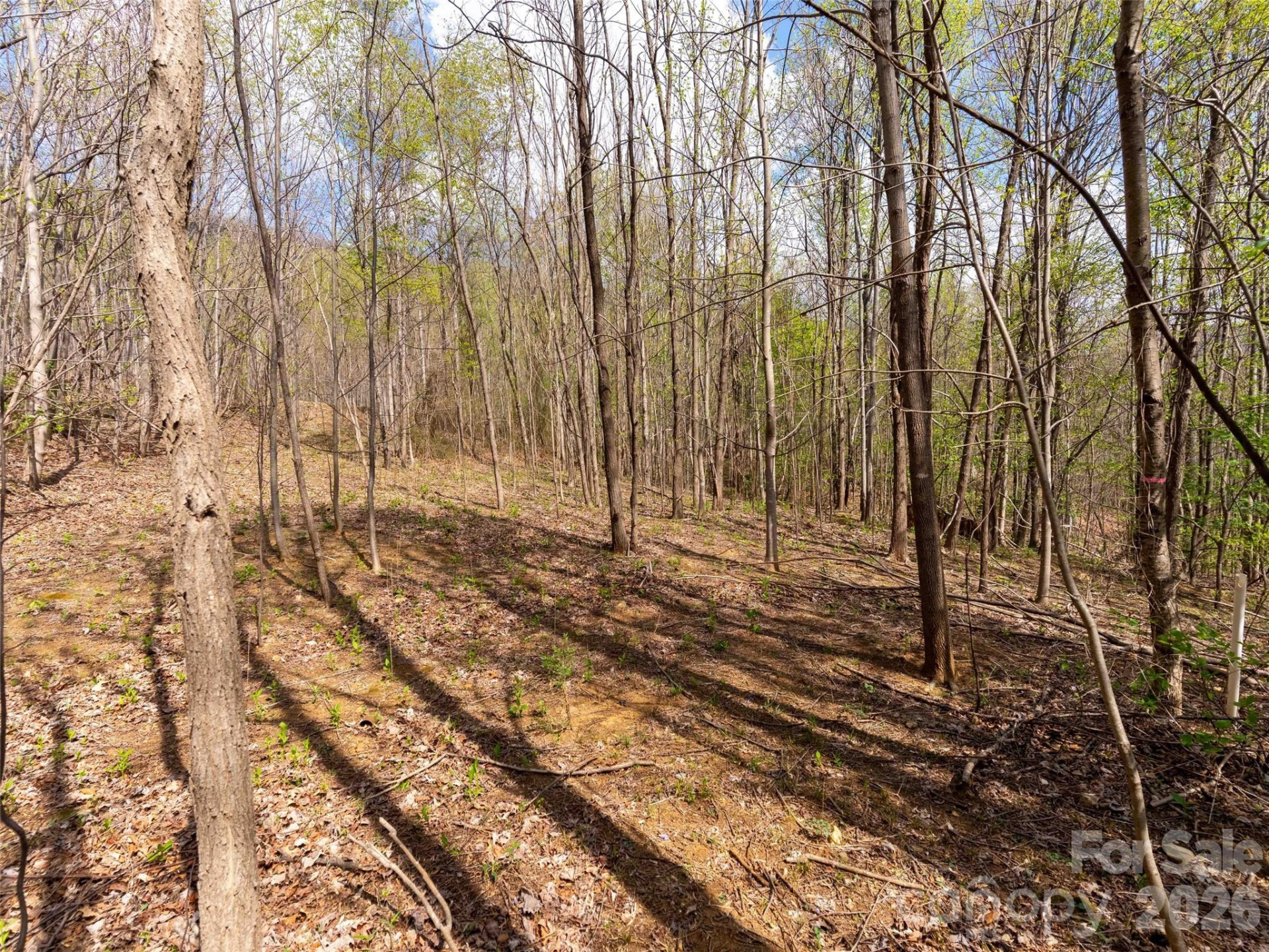 Lot 196 Cherry Hill #196 - Photo 4