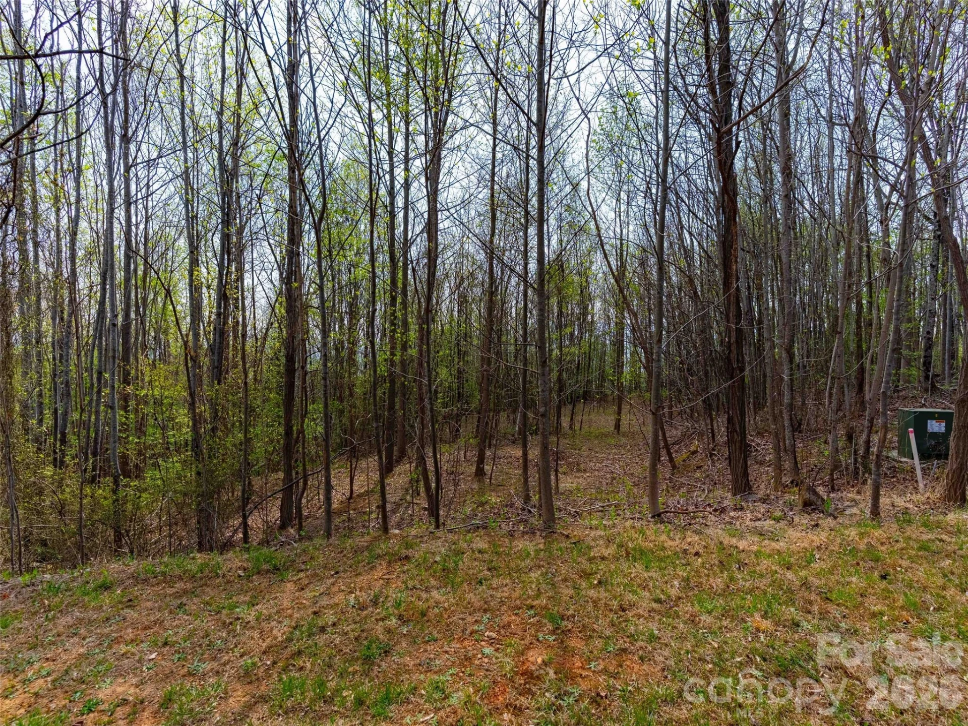 Lot 196 Cherry Hill #196 - Photo 5