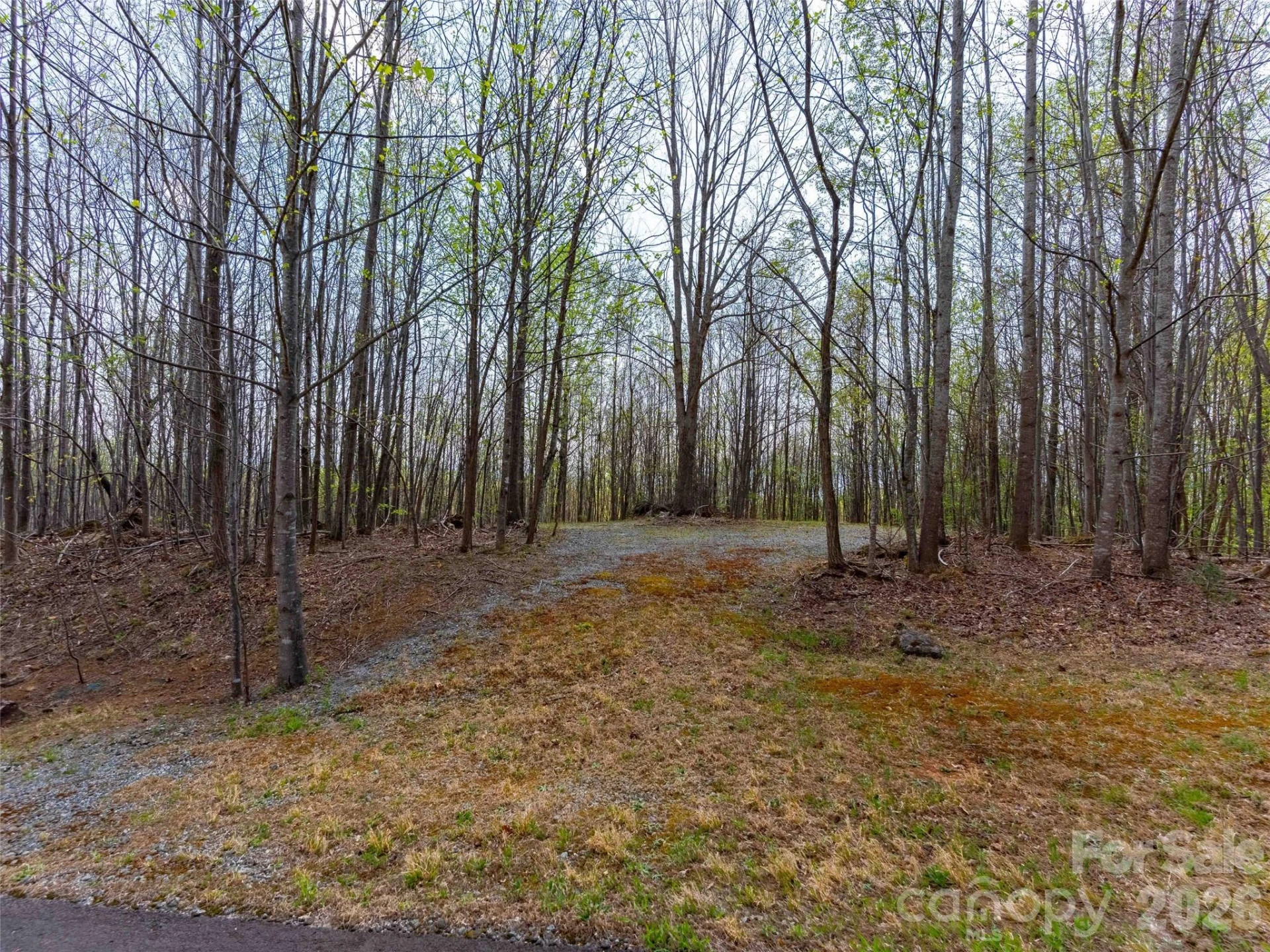 Lot 196 Cherry Hill #196 - Photo 6