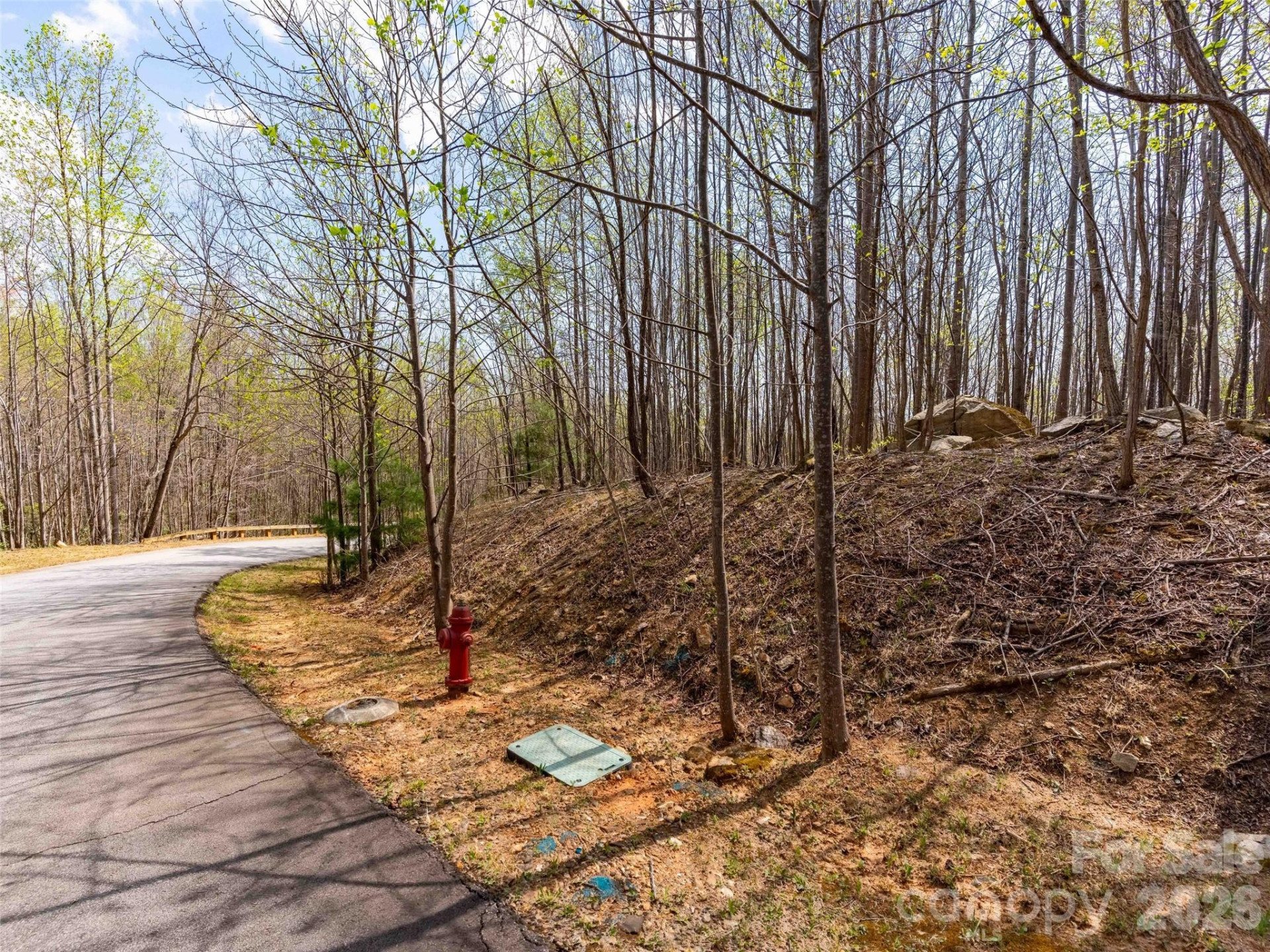 Lot 196 Cherry Hill #196 - Photo 9