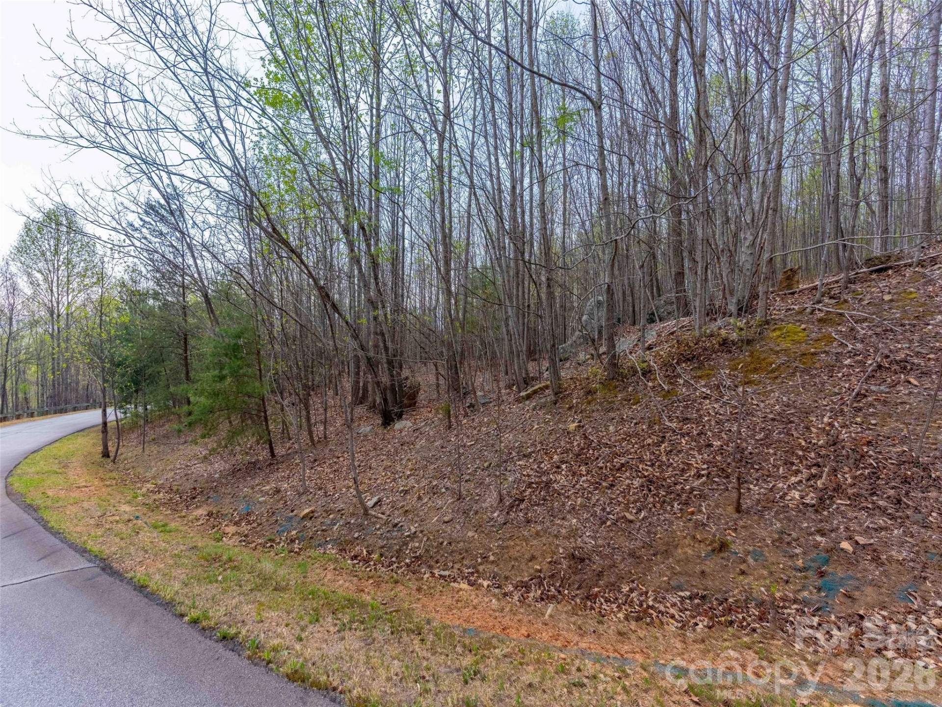 Lot 196 Cherry Hill #196 - Photo 10