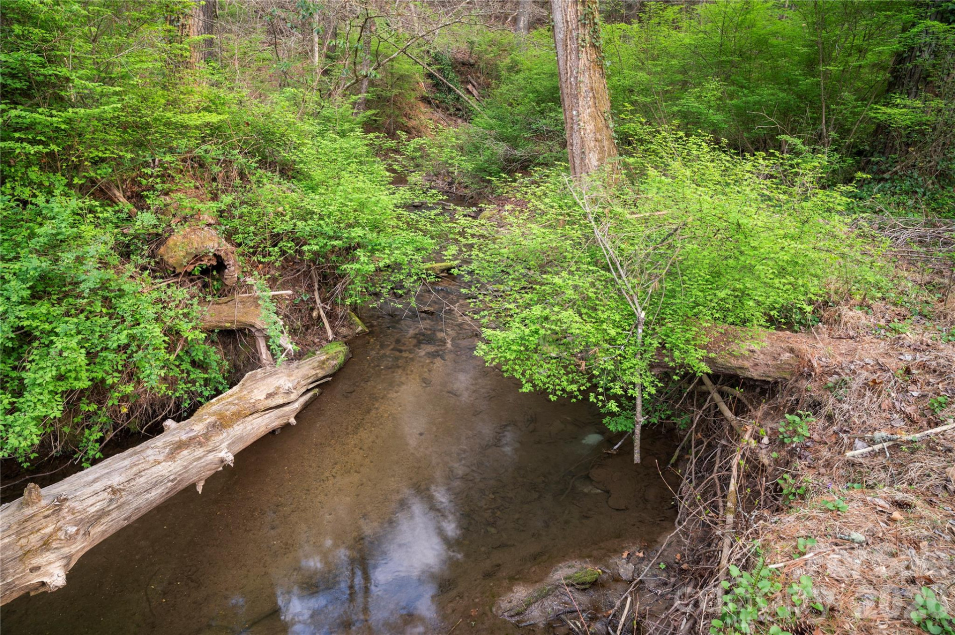 3002 Kanuga Road - Photo 14