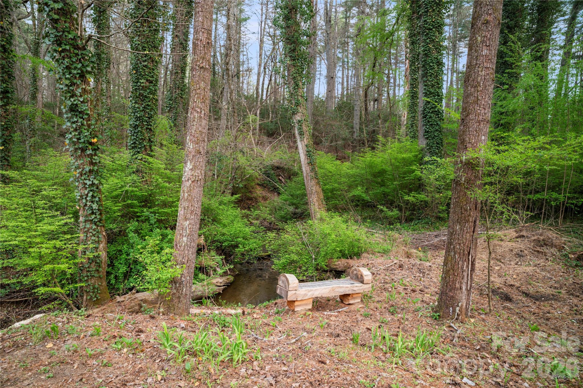 3002 Kanuga Road - Photo 16