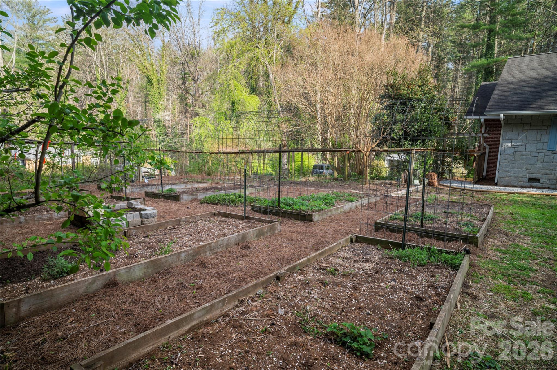 3002 Kanuga Road - Photo 4