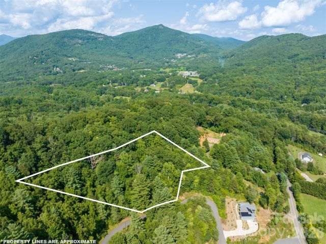 Lot 5 Autumn Trail Lane, Asheville, NC, 28803