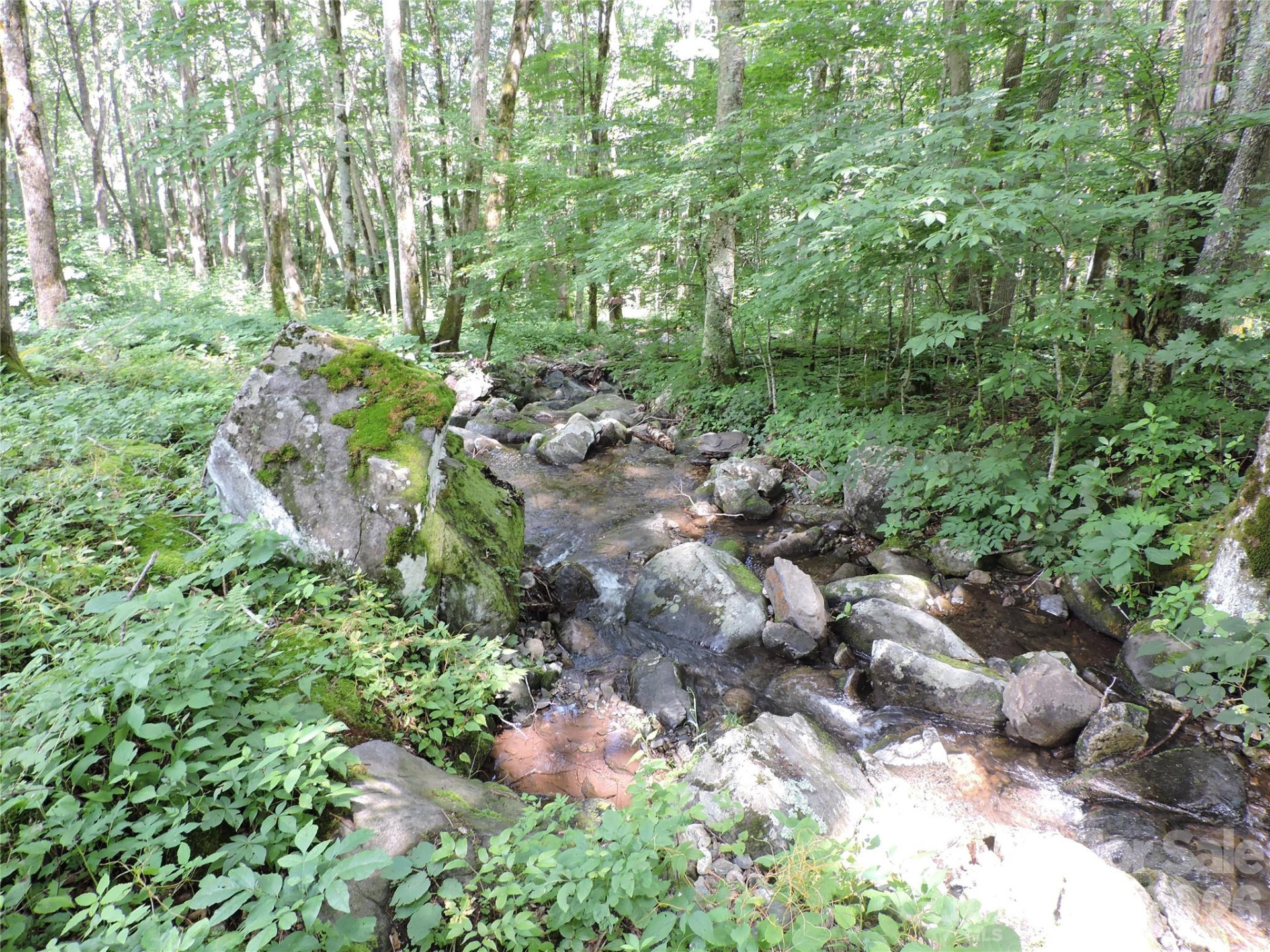 103 Chucks Lane - Photo 37