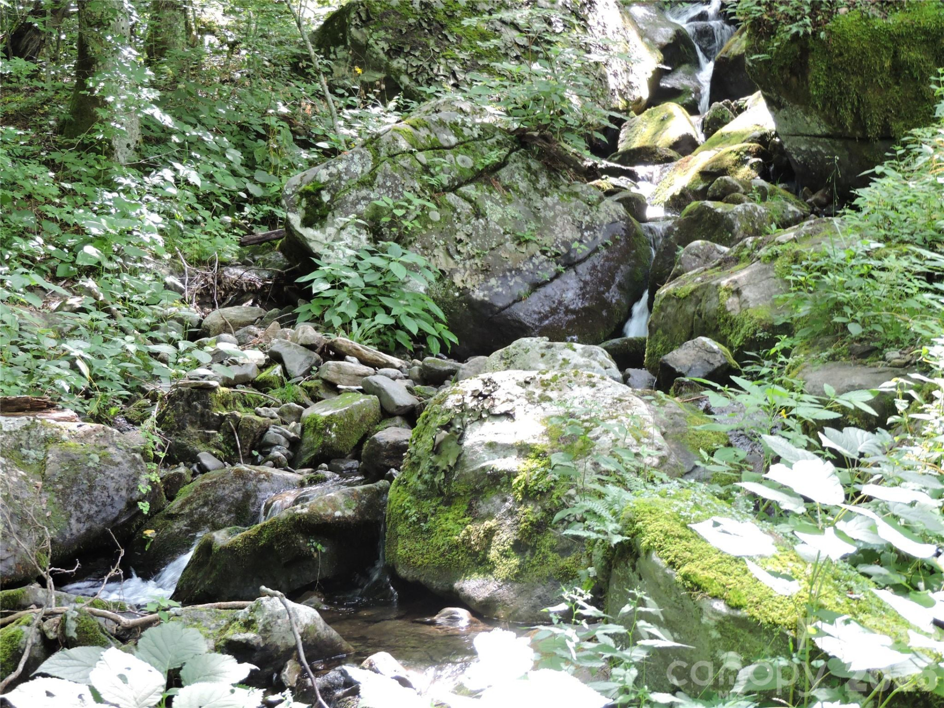 103 Chucks Lane - Photo 38