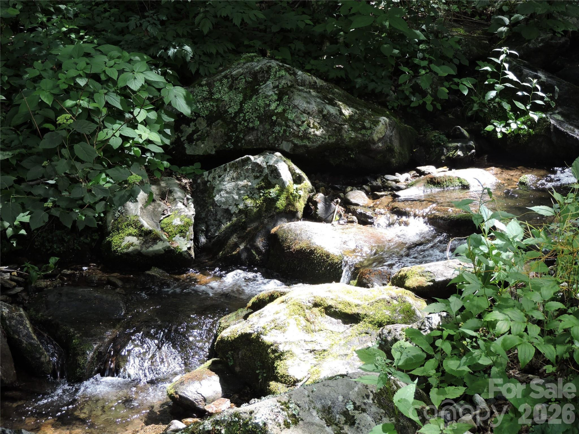 103 Chucks Lane - Photo 39