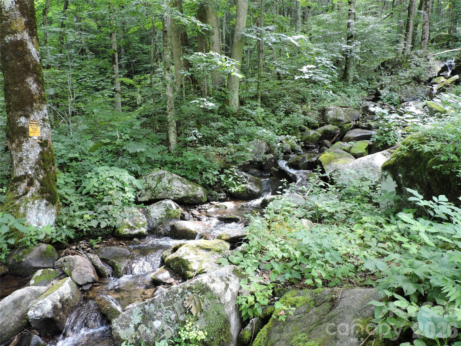 103 Chucks Lane - Photo 40